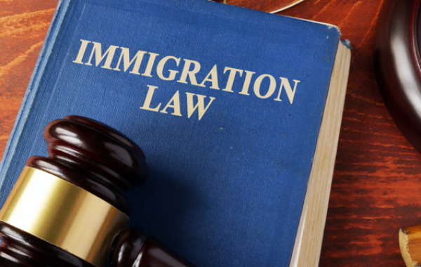immigration-lawyer-seo